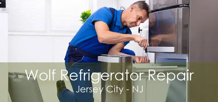 Wolf Refrigerator Repair Jersey City - NJ