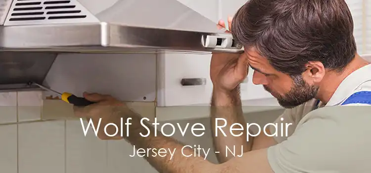 Wolf Stove Repair Jersey City - NJ