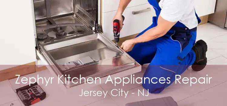 Zephyr Kitchen Appliances Repair Jersey City - NJ